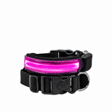 R Led Collar