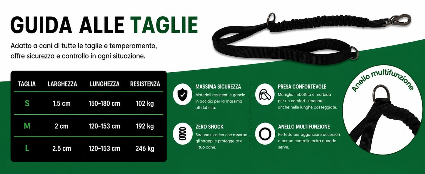 Pettyitalia