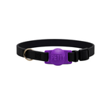 Collari Gatto Biothane