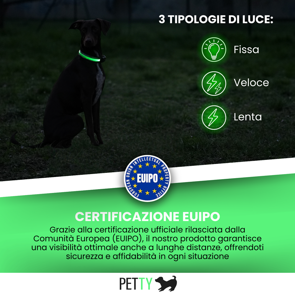 
                      
                        Collare R Led
                      
                    