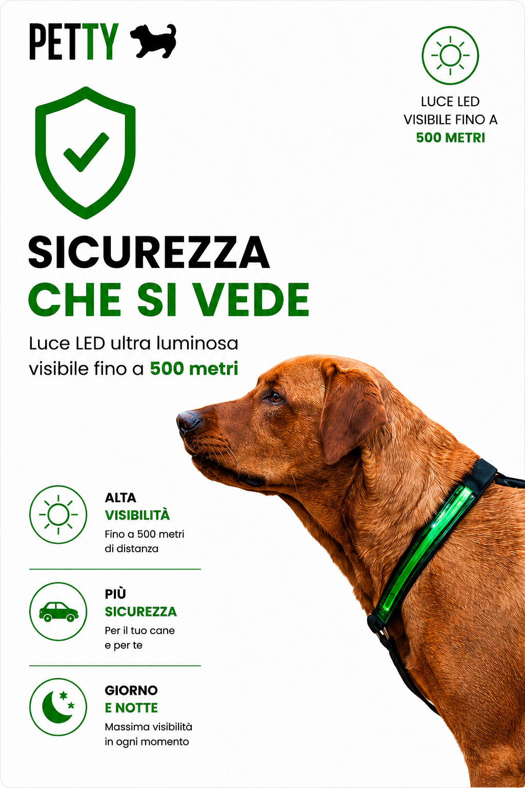 Pettyitalia