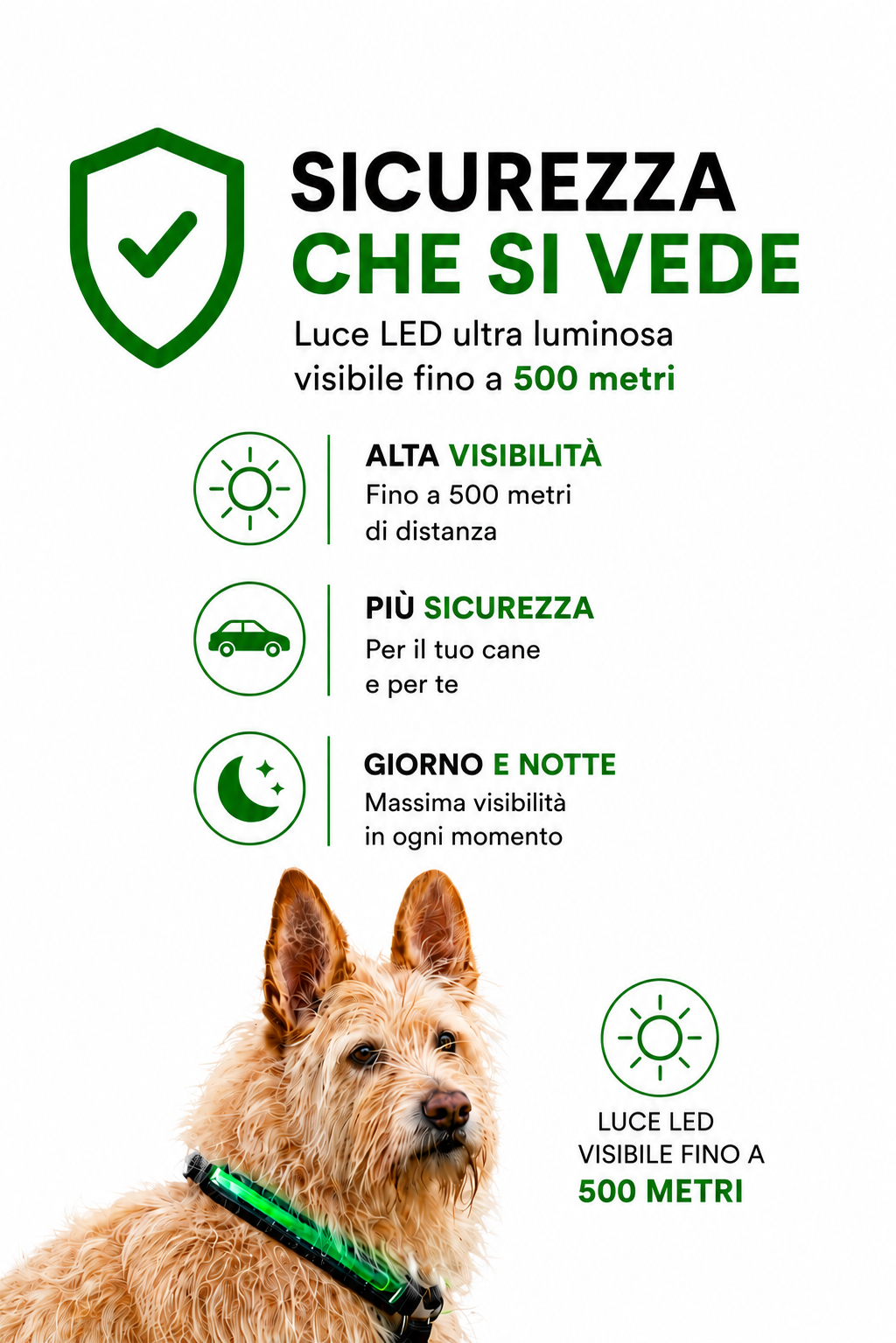 Pettyitalia