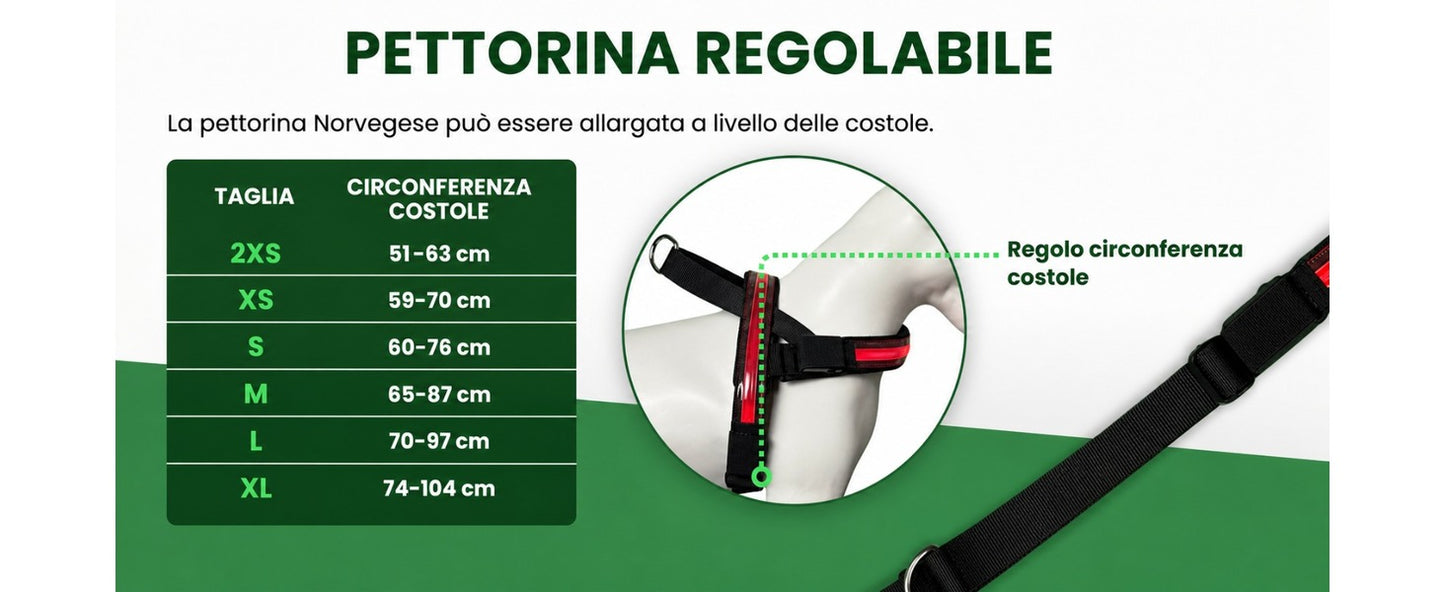 Pettyitalia