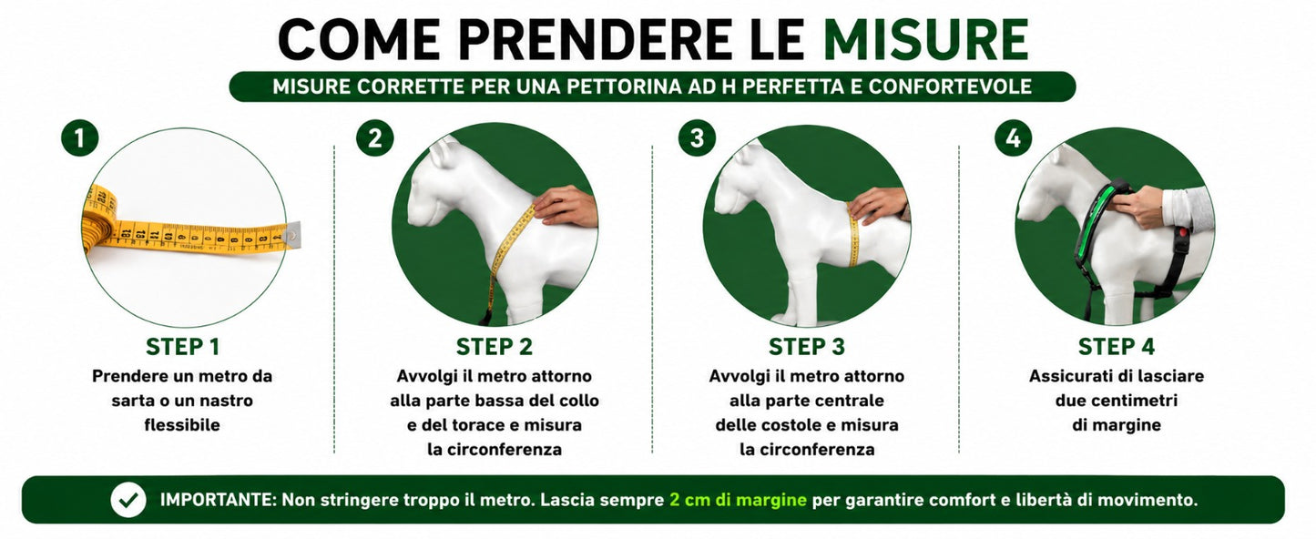 Pettyitalia