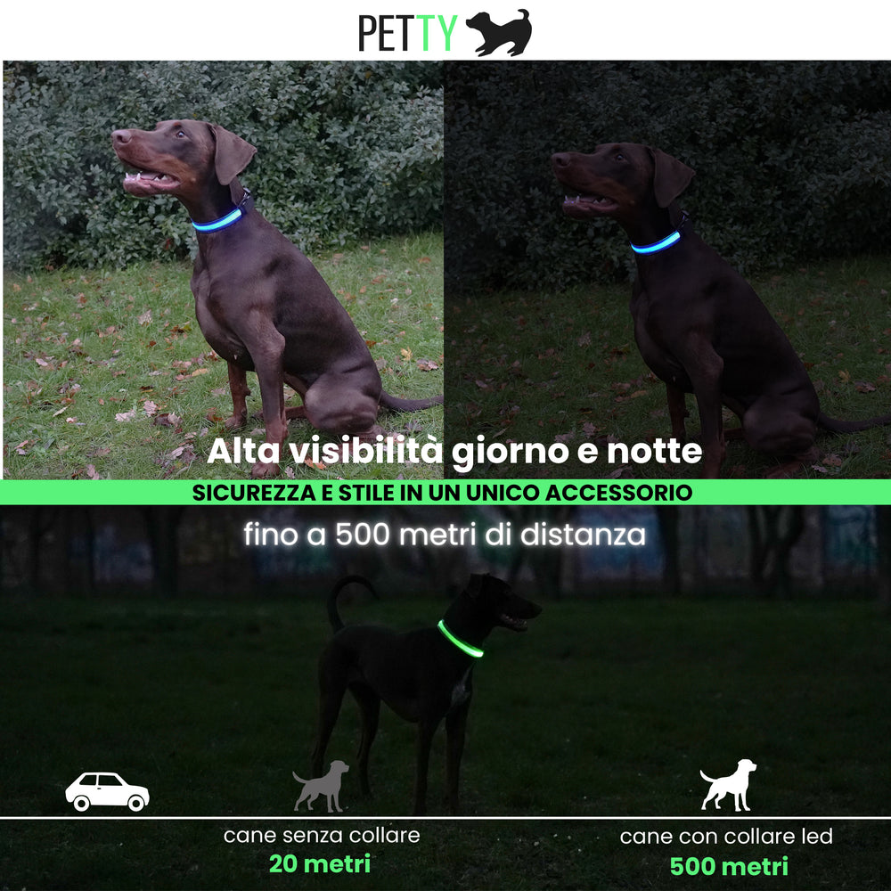 
                      
                        Collare N Led
                      
                    