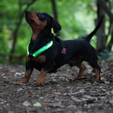 Led