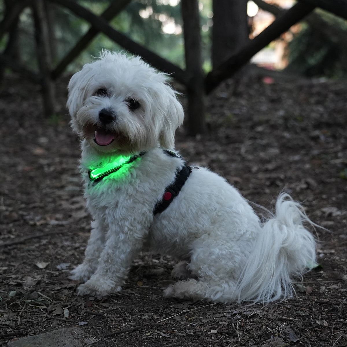 Led