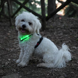Led