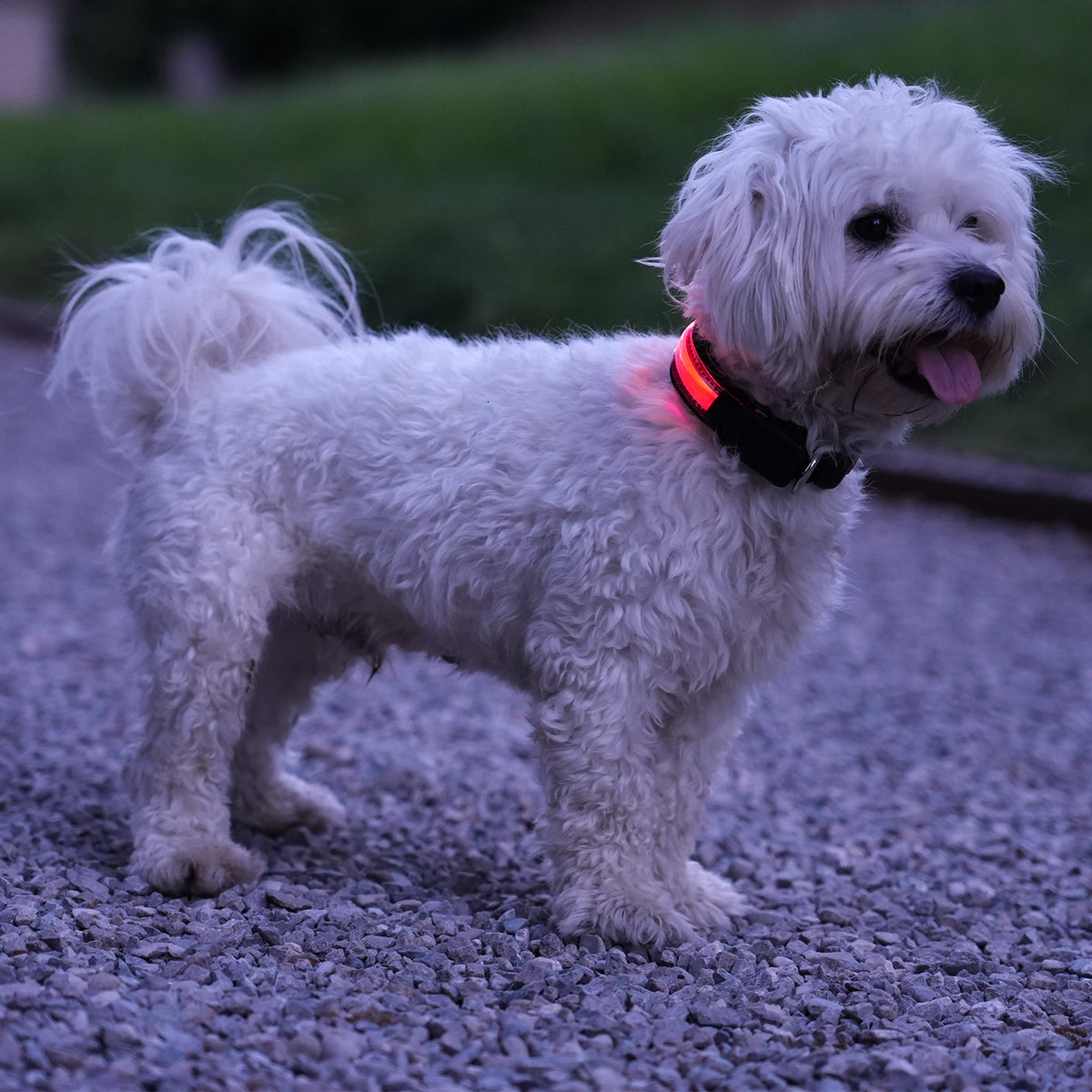 Led