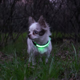 Led