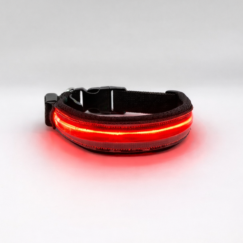 R Led Collar