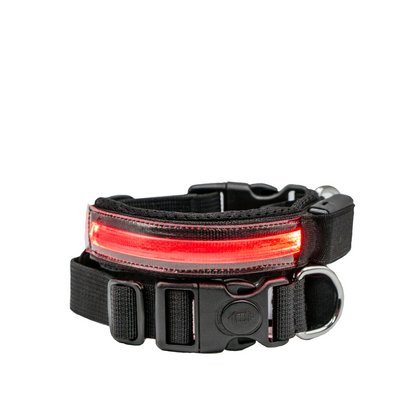 Collare Nylon Led