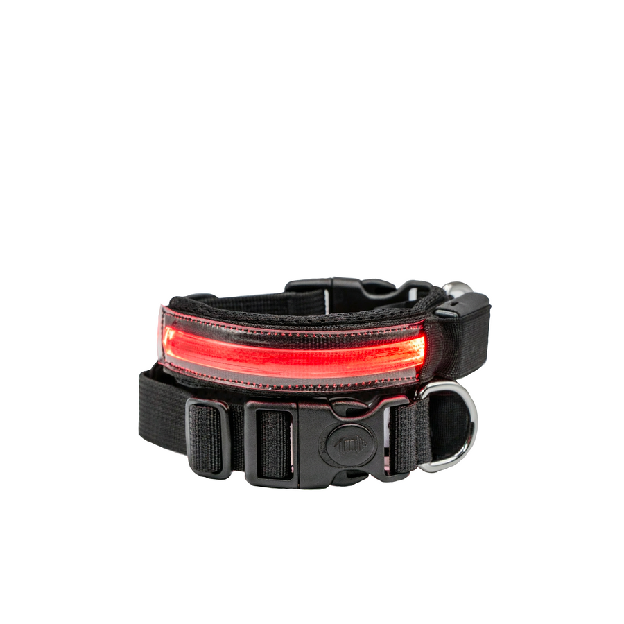 R Led Collar
