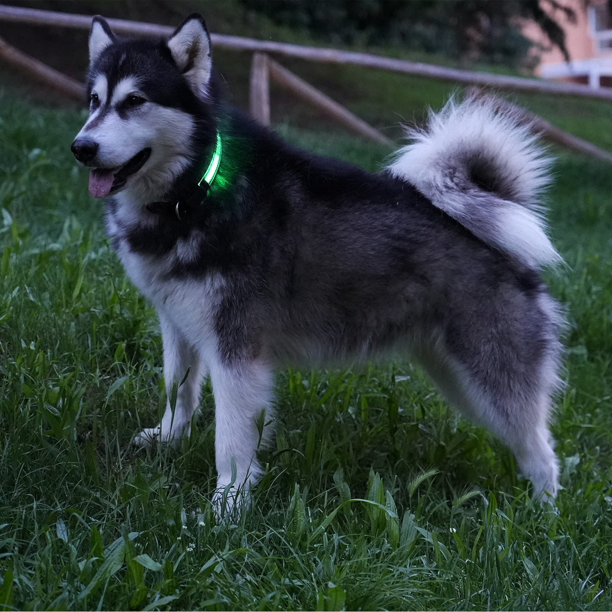 Led