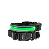 R Led Collar
