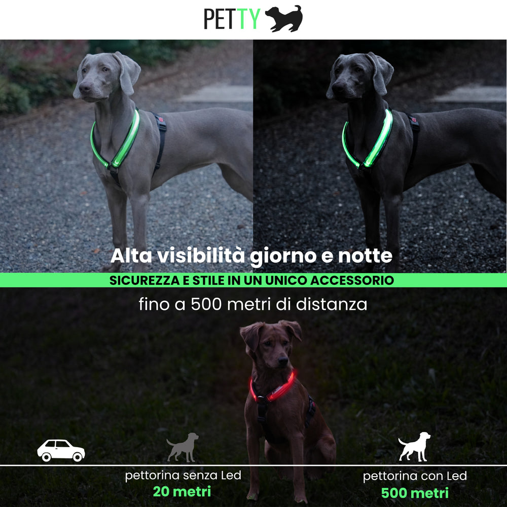 
                      
                        Pettorina H Led
                      
                    