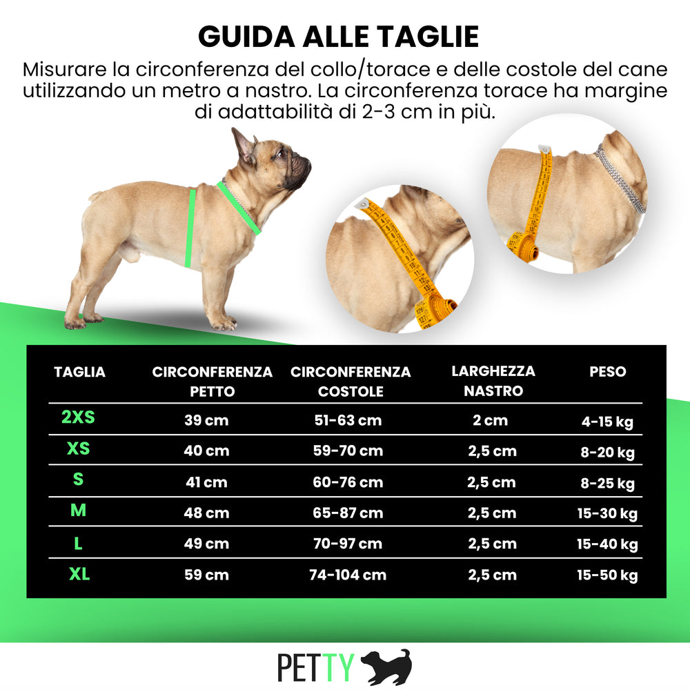 
                      
                        Pettorina N Led
                      
                    