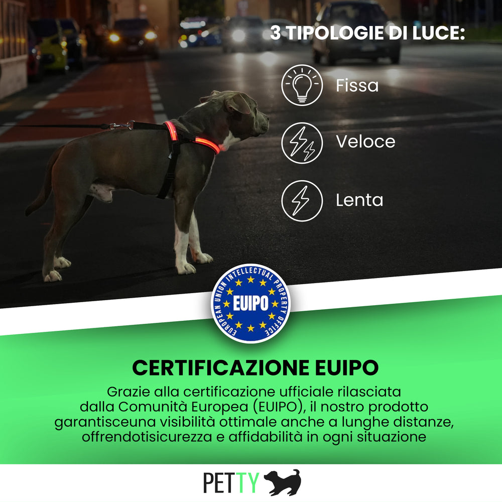 
                      
                        Pettorina N Led
                      
                    