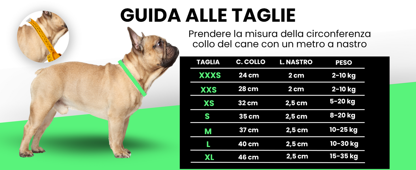 Pettyitalia