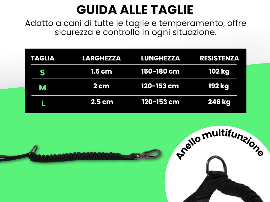 Pettyitalia