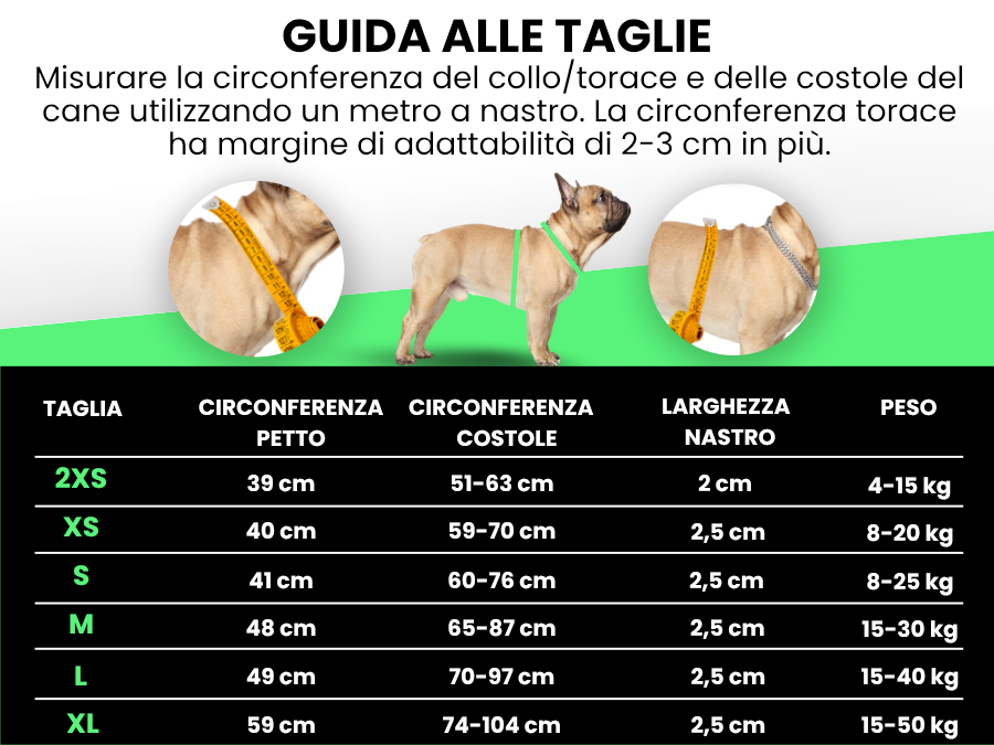 Pettyitalia