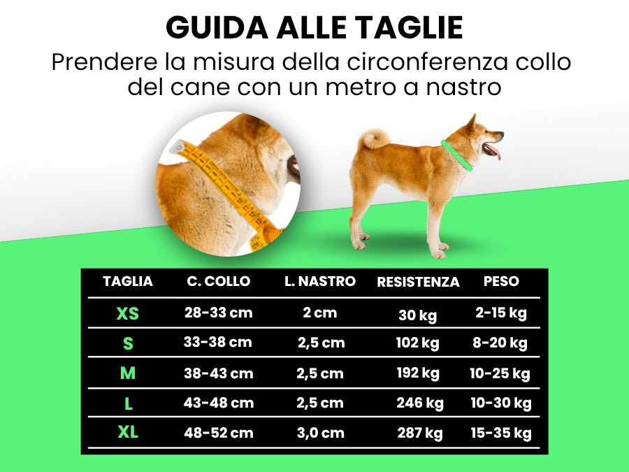 Pettyitalia