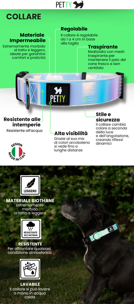 Pettyitalia