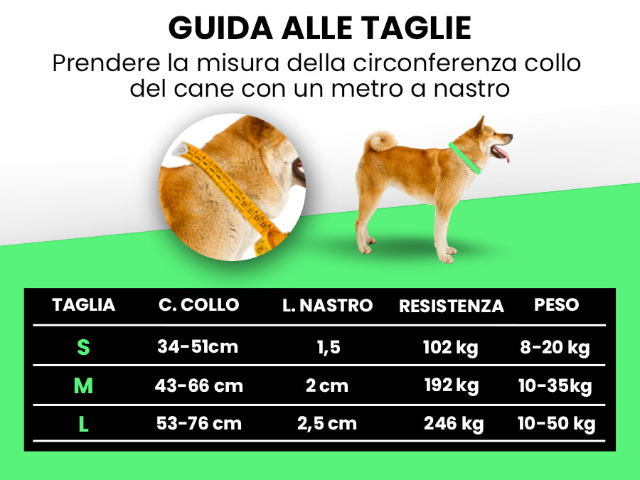 Pettyitalia