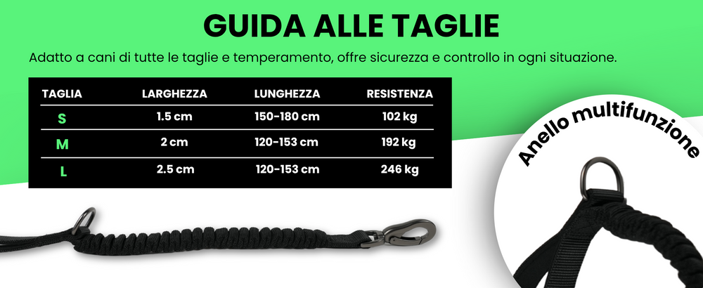 Pettyitalia