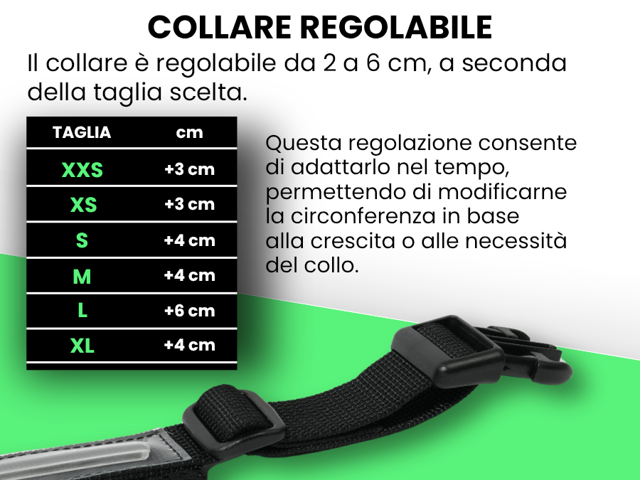 Pettyitalia