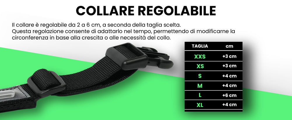 Pettyitalia