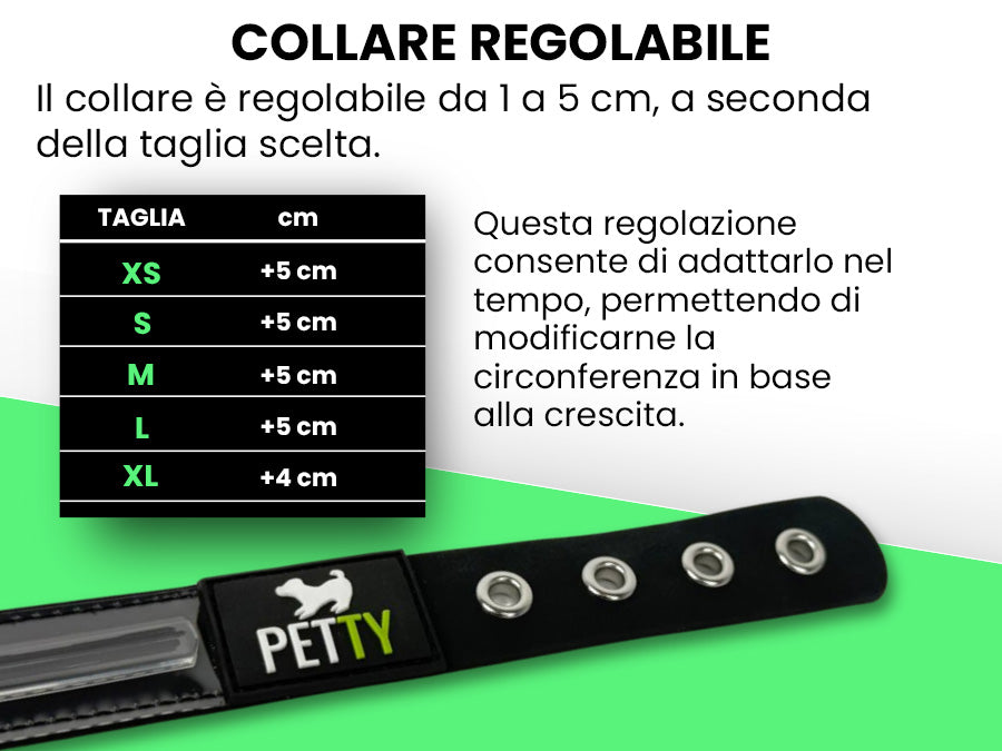 Pettyitalia