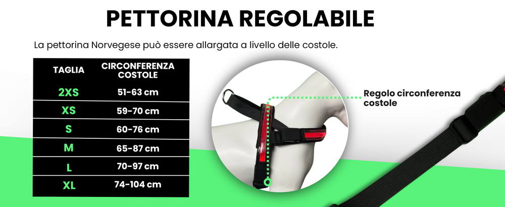 Pettyitalia