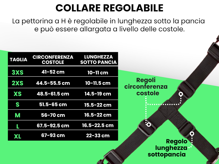 Pettyitalia