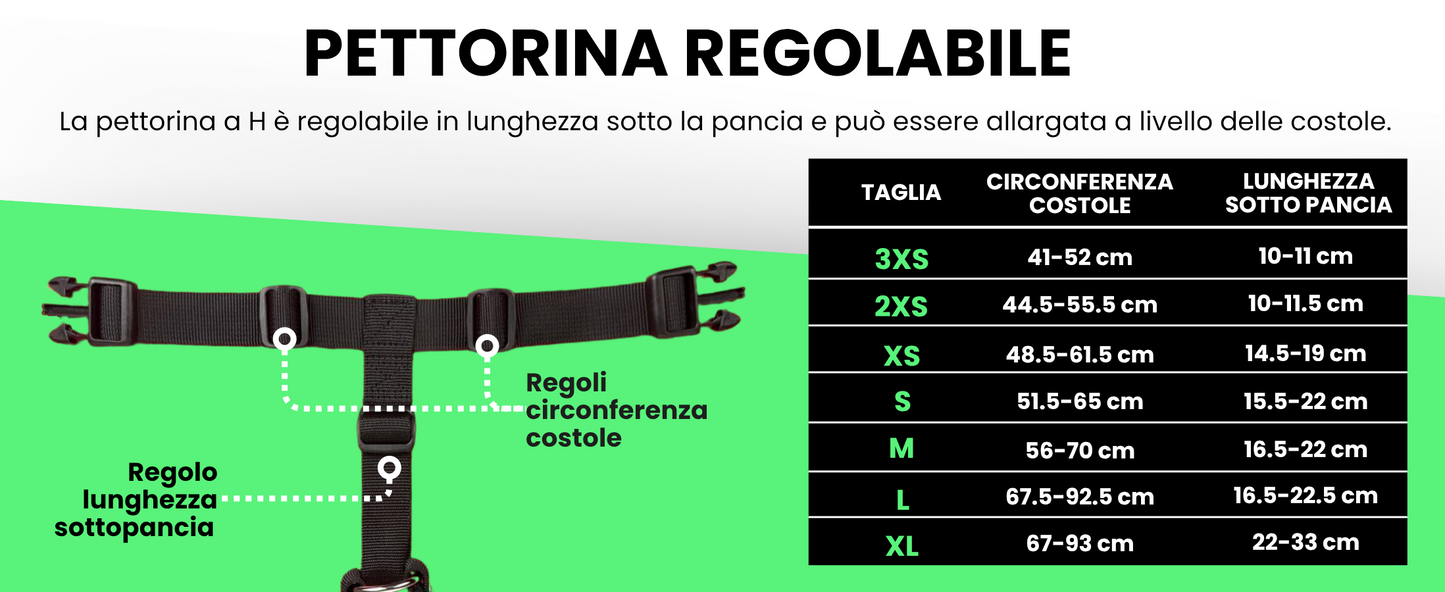 Pettyitalia