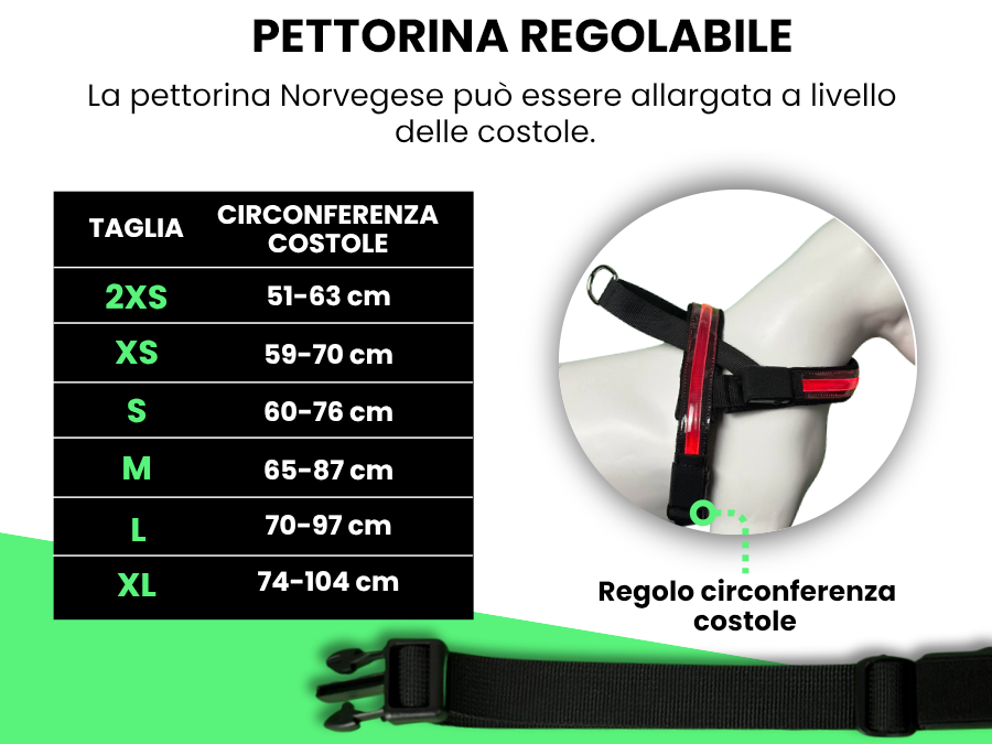 Pettyitalia
