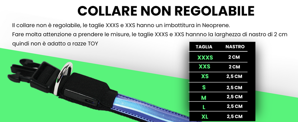 Pettyitalia