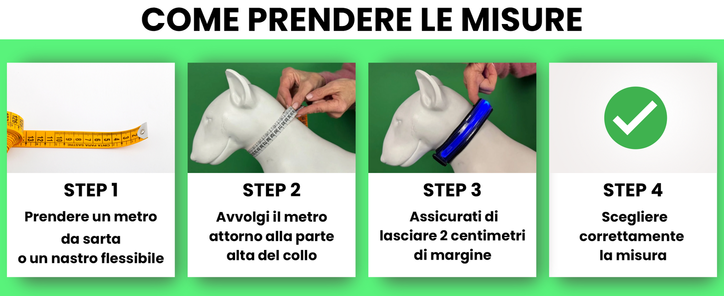 Pettyitalia