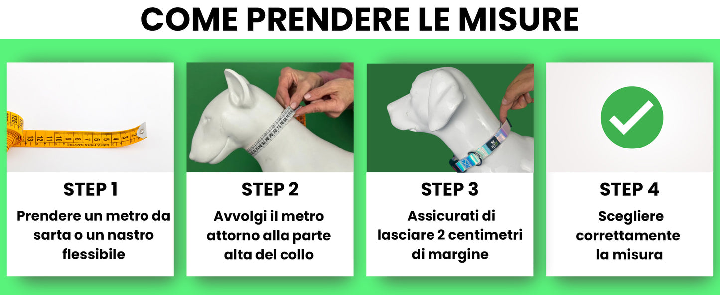 Pettyitalia