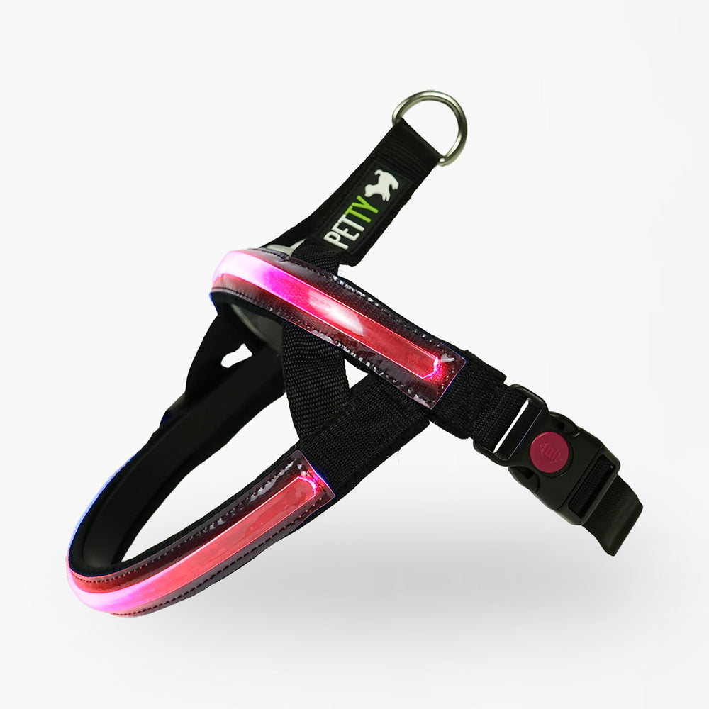 
                      
                        Pettorina N Led
                      
                    