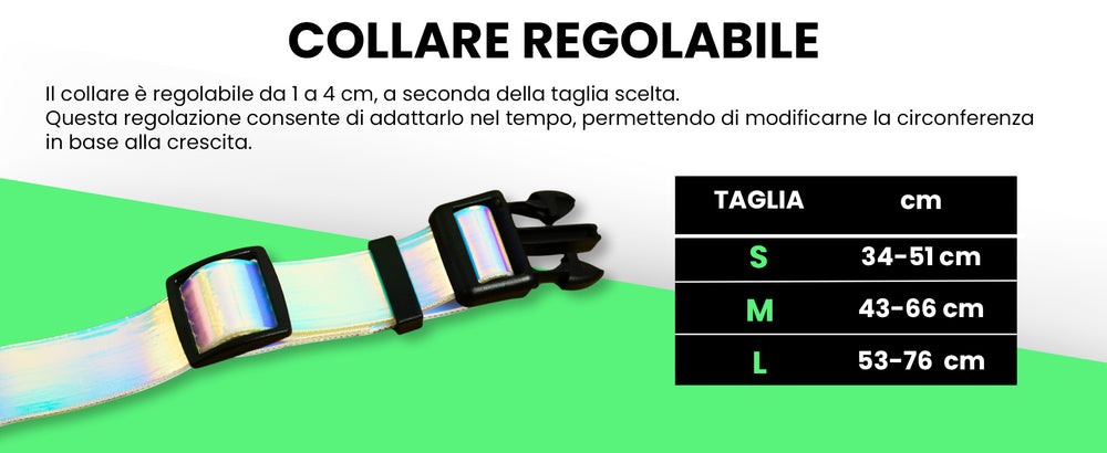 Pettyitalia