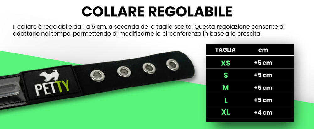 Pettyitalia