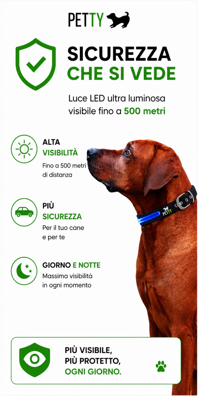 Pettyitalia