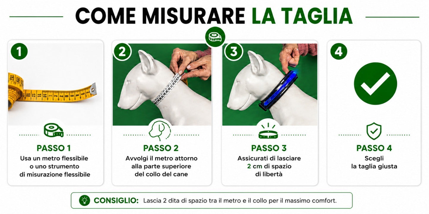 Pettyitalia