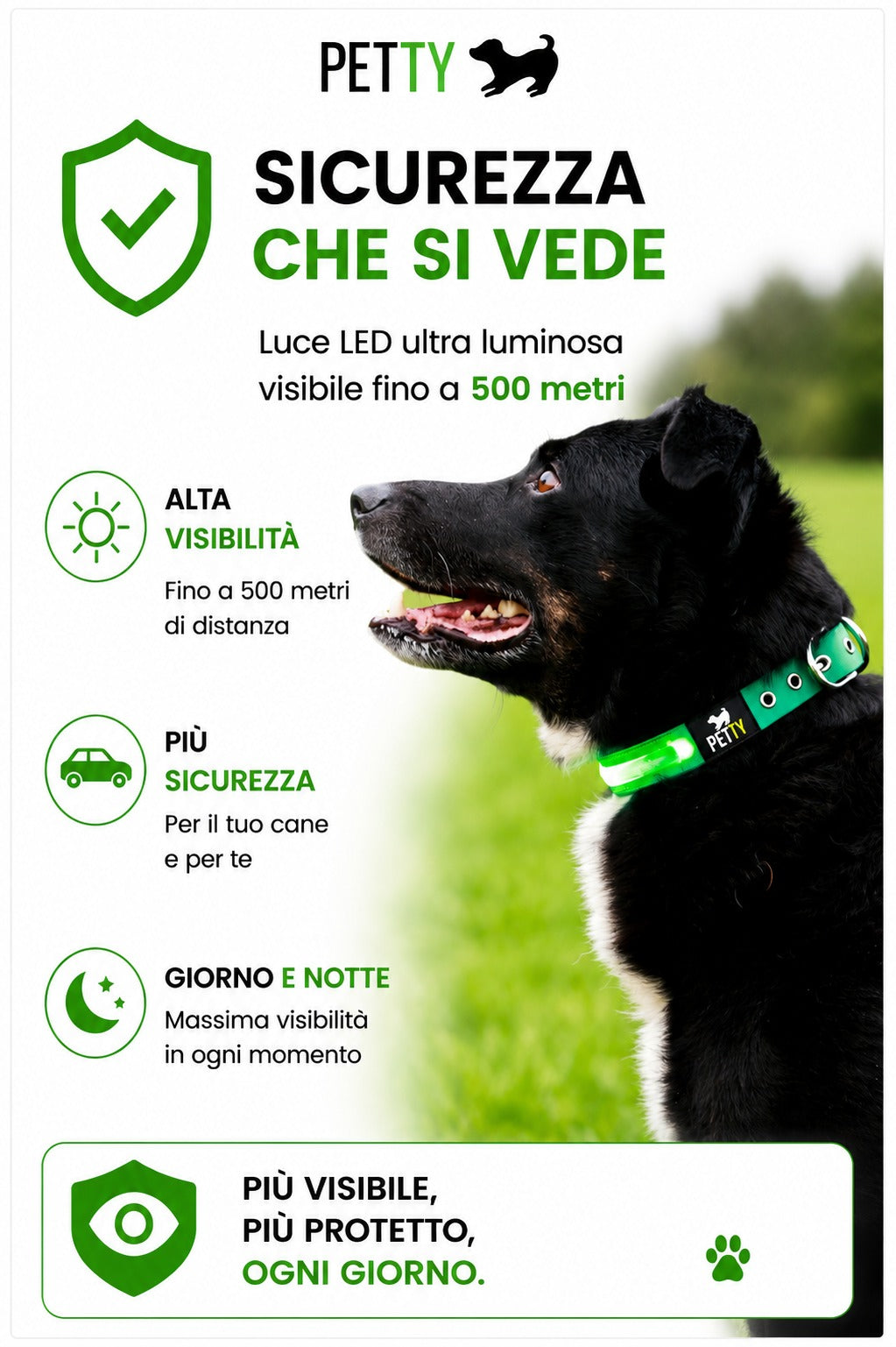Pettyitalia