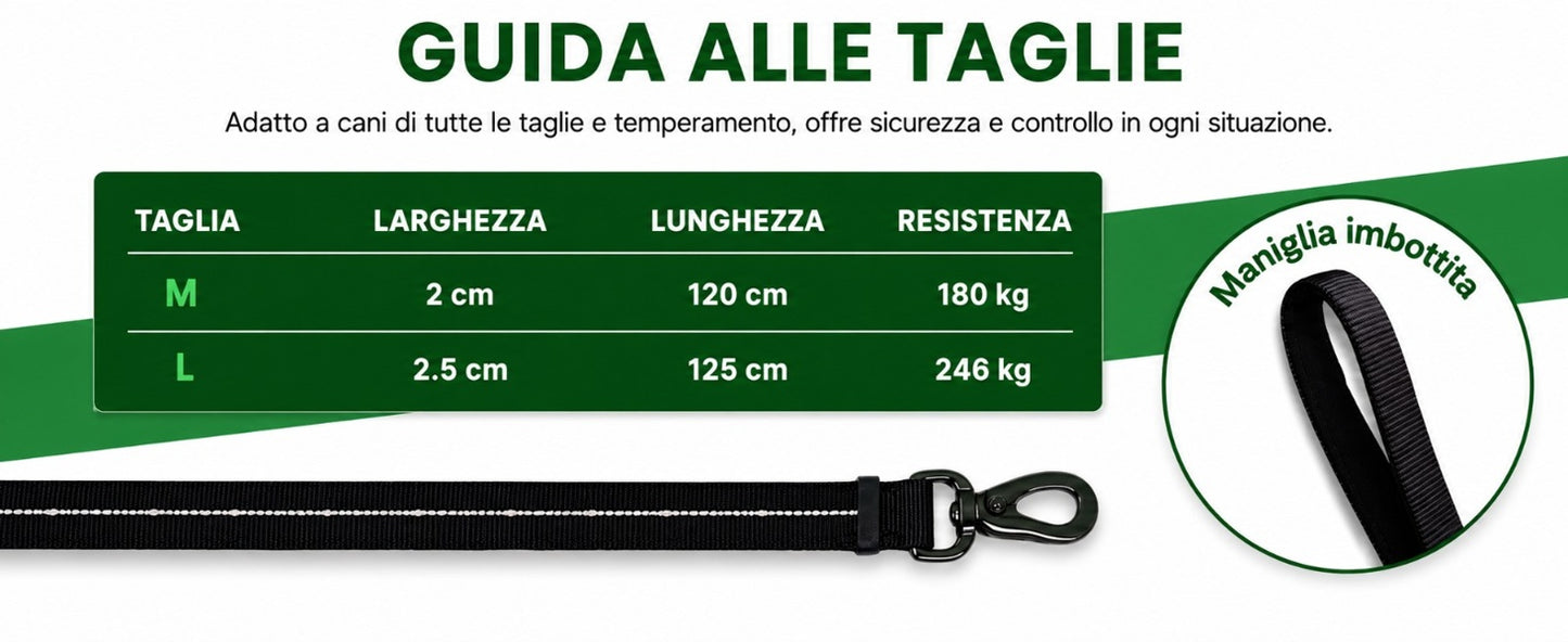 Pettyitalia