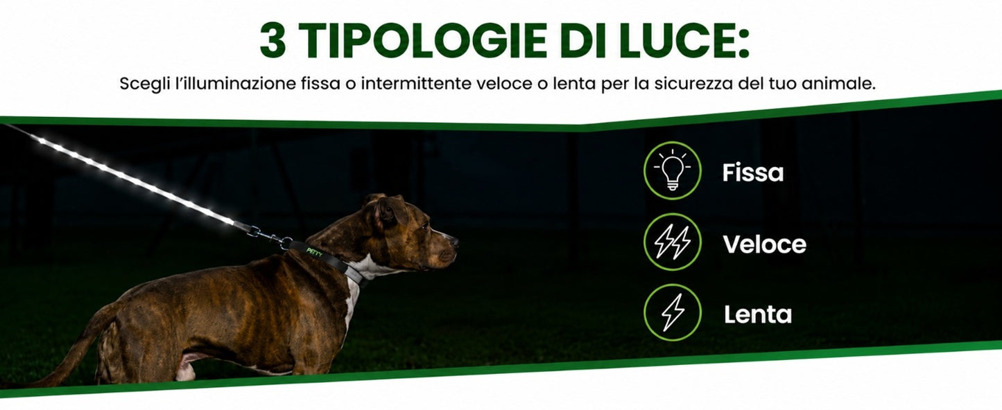 Pettyitalia