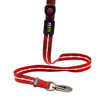 Guinzaglio Led