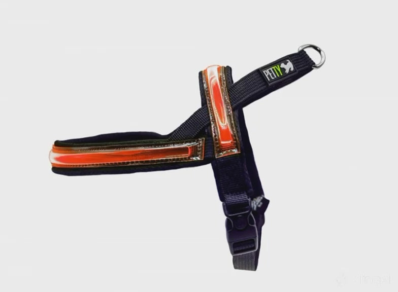 Harness N Led